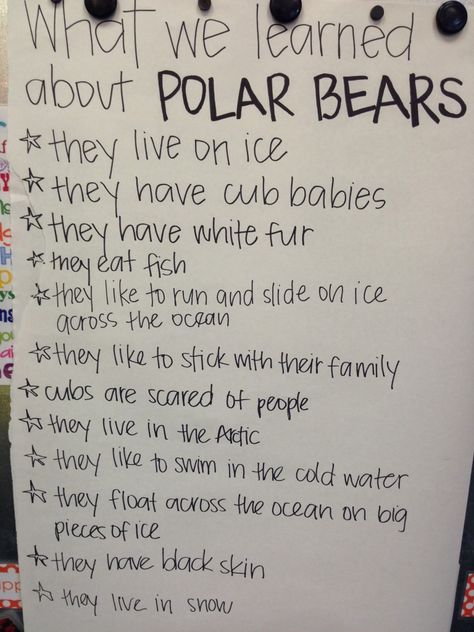 What did YOU learn about Polar Bears Polar Bear Snacks For Preschool, Polar Bear Project, Polar Bear Preschool Activities, Polar Bear Activities For Preschool, Polar Bears Preschool, Arctic Animals Preschool Activities, Bear Crafts Preschool, Polar Bear Unit, Polar Bears Activities