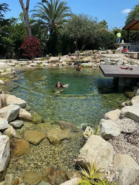 a natural swimming pool clad with stone around, with a wooden deck over it and nothing else looks as if it was always there Bio Pool, Swimming Ponds, Swimming Pool Pond, Natural Swimming Ponds, Diy Pond, Diy Swimming Pool, Wooden Deck, Swimming Pond, Natural Pond