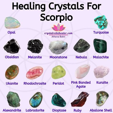 Crystals For Scorpio, Eclipse Season, Love Stones, Crystal Healing Chart, Witchy Tips, Reiki Healer, Scorpio Season, Magic Stones, Zodiac Stones