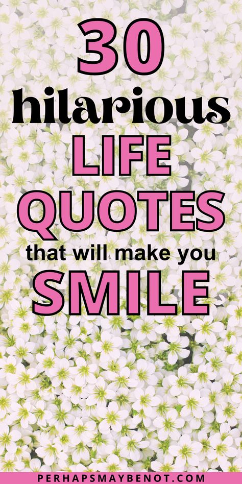 Need a good laugh? Look no further than these hilarious quotes about life #quotes #lifequotes #funnyquotes The New You Quotes, Hello Note Quotes, Motivational Quotes Humor, Bad Advice Quotes Funny, Laughing Quotes Life, No News Is Good News Quotes, Classy Sayings Woman, Random Inspiration Quotes, Bad Decisions Quotes Funny