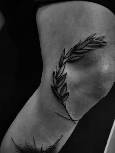 Olive Branch Tattoo Mens Knee, Knee Branch Tattoo, Knee Olive Branch Tattoo, Roman Wreath Tattoo, Tattoos Olive Branch, Olive Branch Knee Tattoo, Tattoo Olive Branch, Olive Branch Tattoo Mens, Roman Tattoo Ideas