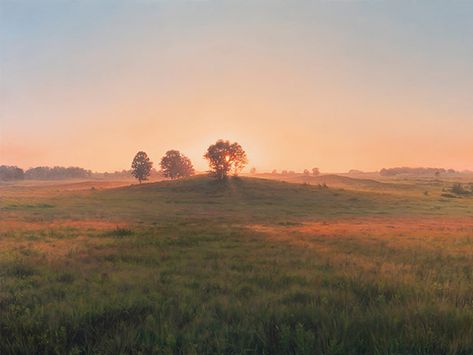 Prairie Core, Western Prairie Aesthetic, Prairie Landscape, House On The Prairie Aesthetic, Alberta Prairie Landscape, Prairie Aesthetic, Prairie Sunset, Grand Prairie Texas, Tallgrass Prairie