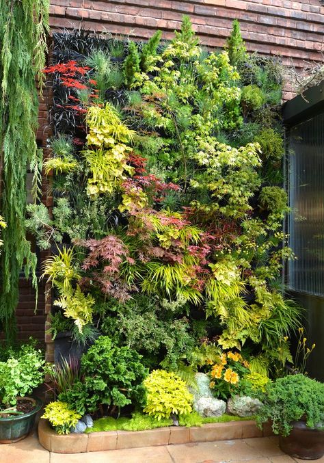 Lookbook — Living Green Design Vertical Garden Design, Vertical Vegetable Garden, Vertical Garden Wall, Vertical Herb Garden, Minimalist Garden, Living Walls, Vertical Garden Diy, Plants Growing, Walled Garden