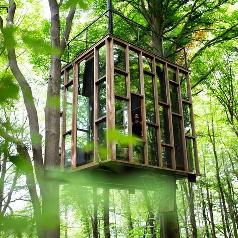 Italian Vineyard, Glass Cabin, Treehouse Cabins, Tree House Designs, Glass Cube, Small Cabin, Unique Architecture, Cabin Design, House Extensions