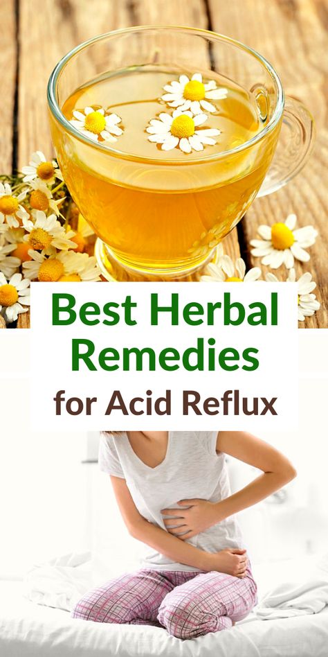 Here is my guide with the best homemade remedies for Acid Reflux, or GERD, and Heartburn. Find healthy herbal teas that can help you with reducing the symptoms of these irritating and painful conditions. Acid Reflux Natural Remedies, Best Herbal Teas, Acid Reflux Home Remedies, Reflux Recipes, Reflux Remedies, Acid Reflux Recipes, Heart Burn Remedy, Best Herbal Tea, Herbal Teas