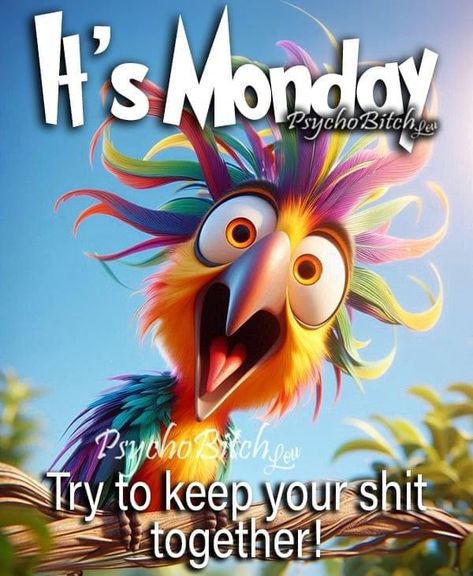 Monday Morning Quotes Humor Hilarious, Monday Morning Quotes Humor, Hello Monday Quotes, Happy Monday Humor, Weekday Humor, Funny Monday Quotes, Monday Morning Humor, Monday Funny, Mindful Monday