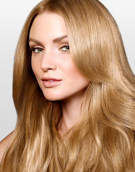 Warm Golden Blonde Hair, Light Golden Brown Hair Color, Light Golden Brown Hair, Brown Hair Color Chart, Golden Blonde Hair Color, Types Of Hair Color, Warm Hair Color, Grey Hair Coverage, Golden Brown Hair