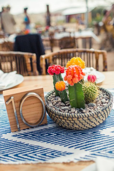 Cactus centerpieces in bright colors = desert wedding vibes | Amelia Lyon Photography Cactus Centerpiece, Non Floral Centerpieces, Summer Centerpieces, Desert Chic, Cactus Wedding, Fiesta Wedding, Boda Mexicana, Unique Wedding Flowers, Wedding Floral Centerpieces