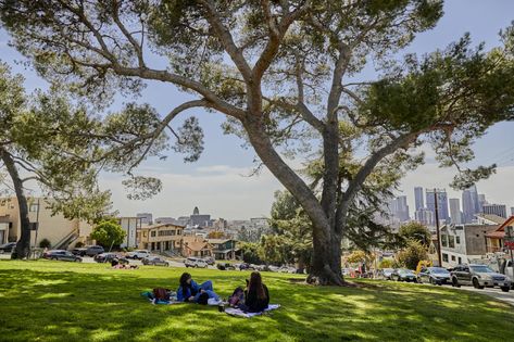 The Best Picnic Spots In LA - Los Angeles - The Infatuation Picnic Spots In Los Angeles, Cali Aesthetic, Nature Snacks, Sand Volleyball Court, Los Angeles Parks, San Gabriel Mountains, San Gabriel Valley, Griffith Park, Los Angles