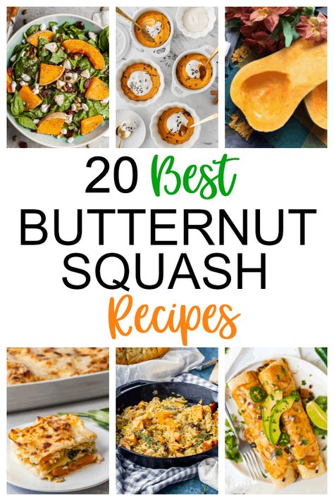 Butternut squash is one of fall's most versatile vegetables to cook with. You can use this large and hearty squash in savory as well as sweet dishes. Full of fiber, potassium and vitamin A, butternut squash is a healthy ingredient to add to your fall and winter recipes. Here, you'll find 20 creative recipes that use butternut squash in unique and appetizing ways. From soup to salad, from pasta to chili, from tarts to cakes, you'll find delectable and scrumptious ways to incorporate this adaptabl Butternut Squash Recipes Easy, Best Butternut Squash Recipe, Butternut Squash Gratin, Butternut Squash Casserole, Easy Butternut Squash, Baked Butternut Squash, Butternut Squash Ravioli, Butternut Squash Salad, Meatless Meal