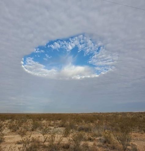 HOW COOL IS THIS?! Called a "hole punch" cloud or fallstreak hole. Spotted over Texas this week! Credit: Bryan Mann 👀🛸 Fallstreak Hole Clouds, Pecos Texas, Environment References, Mammatus Clouds, Sky Gazing, Dreamy Clouds, Angel Clouds, Dream Core, Weather Science