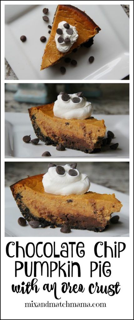 Chocolate Chip Pumpkin Pie With An Oreo Crust Recipe | Mix and Match Mama Oreo Crust Recipe, Thanksgiving Chocolate Desserts, Fall Yummies, Pie For Thanksgiving, Thanksgiving Chocolates, Chocolate Chip Pie, Pumpkin Spice Cheesecake, Fall Recipes Pumpkin, Pumpkin Treats