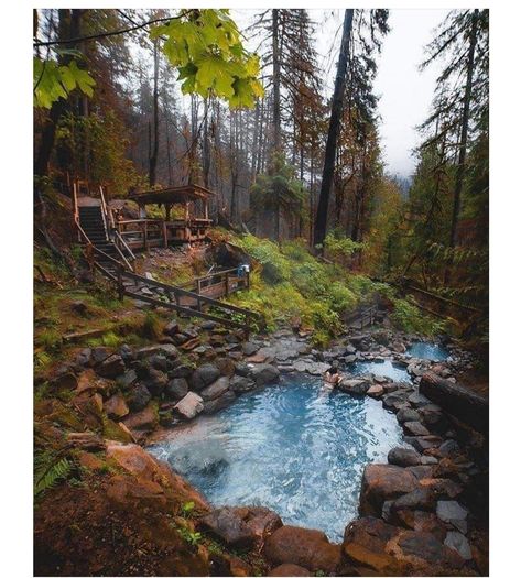 Grid Architecture, Ecological House, Forest Bathing, Cabin In The Woods, Natural Pool, Cabin Life, Mountain Cabin, Outdoor Survival, Cabin Homes