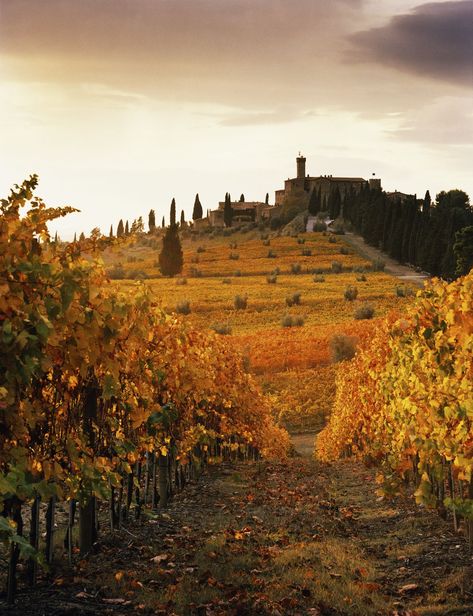 Tuscany, Italy Italian Autumn, Fall Scenery, Holiday Tablescape, Italian Vacation, Autumn Foliage, Italy Trip, Places In The World, Manifestation Board, Autumn Scenery