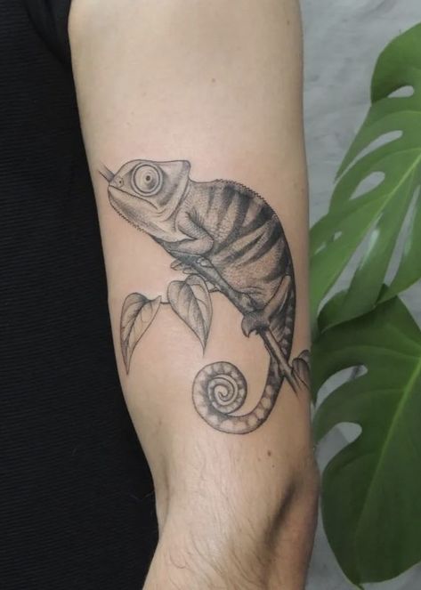 Chameleon Tattoo Realistic, Hipster Tattoos, Chameleon Tattoo, Lizard Tattoo, Veiled Chameleon, Hipster Tattoo, Animals Tattoo, Line Work Tattoo, Tattoo Sleeve