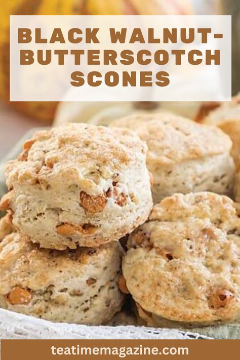 These scrumptious Black Walnut-Butterscotch Scones are truly a treat for afternoon tea in the fall. Serve these yummy bakes with a comforting cup of Elmwood Inn Fine Teas' "Pumpkin Spice Black Tea." Find the recipe by visiting http://teatimemagazine.com/black-walnut-butterscotch-scones-recipe/. Butterscotch Scones Recipe, Black Walnut Recipes, Butterscotch Scones, Black Walnuts Recipes, Walnut Scones, Afternoon Tea Scones, British Scones, Tea Scones, Scones Recipe