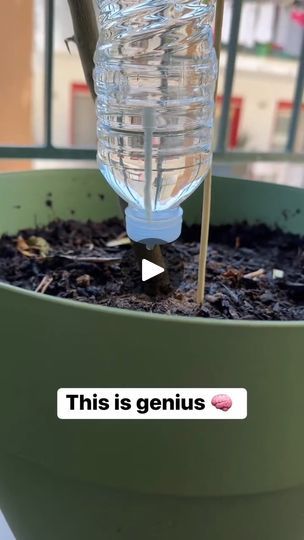 Garden Watering Hacks, Plant Watering Hacks, Southern Gardening, Planting Hacks, Keeping Plants Alive, Garden Remedies, Plant Watering, Plant Care Houseplant, Garden Solutions