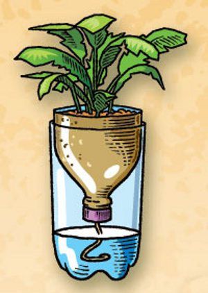 Plantarea Legumelor, Recycling Ideas, Planting Ideas, Bottle Garden, Have Inspiration, Self Watering Planter, Plants Garden, Hanging Garden, Garden Stuff