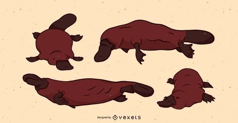 Platypus Illustration Set #AD , #SPONSORED, #sponsored, #Set, #Illustration, #Platypus Platypus Illustration, Cute Platypus, Aquatic Animals, Platypus, Educational Projects, Different Angles, Layout Template, Graphic Image, Logo Maker