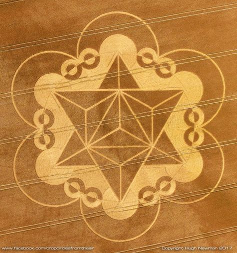 Real Crop Circles, Crop Circles Sacred Geometry, Thought Forms, Buddha Nature, Sacred Geometry Symbols, Crop Circle, Metatrons Cube, Sacred Geometric, Aliens And Ufos