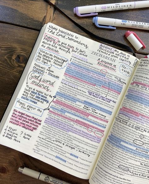 Ipad Bible Study, Highlight Bible, Annotating Bible, Bible Verse Annotations, How To Annotate The Bible, Annotating Bible Color Code, Zechariah Bible Study, Bible Highlighting System, Bible Annotations Key