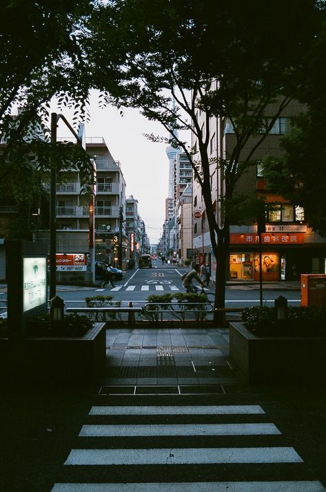 Film Photography Edit, Film Photography Wallpaper, Japan Film Photography, Japan Film, Film Camera Photography, 35mm Film Photography, Japanese Photography, Film Pictures, Trip To Japan