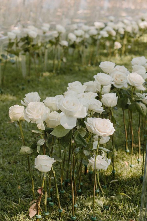 #weddings #weddinginspiration #weddingceremony #weddingflorals White Rose Aisle, White Rose Ceremony, Rose Aisle, Wedding Planning App, Farmer Wedding, Rose Ceremony, Classy Decorations, Germany Wedding, Romantic Wedding Ceremony