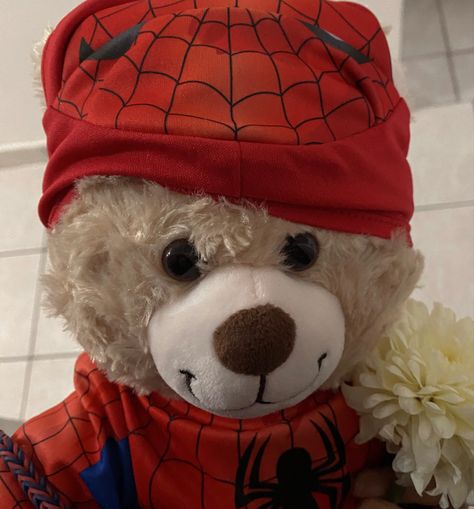 Build A Bear, Spiderman, Teddy Bear, Flowers, Red