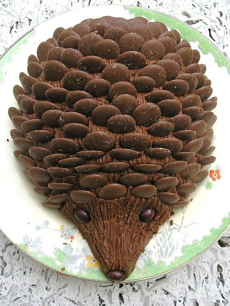 Hedgehog Cake, A Hedgehog, Animal Cakes, Novelty Cakes, Birthday Cake Kids, Fancy Cakes, Food Cakes, Pretty Cakes, Creative Cakes