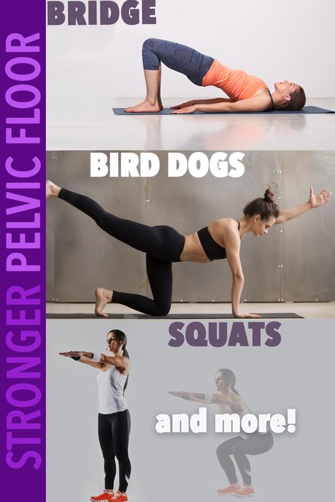 Squats For Pelvic Floor, Resistance Band Exercises For Pelvic Floor, Pelvic Floor Exercises Strengthen, Incontinence Exercises, Pelvic Exercises, Kegal Exercises, Floor Yoga, Pelvic Floor Muscle Exercise, Pregnancy Exercises