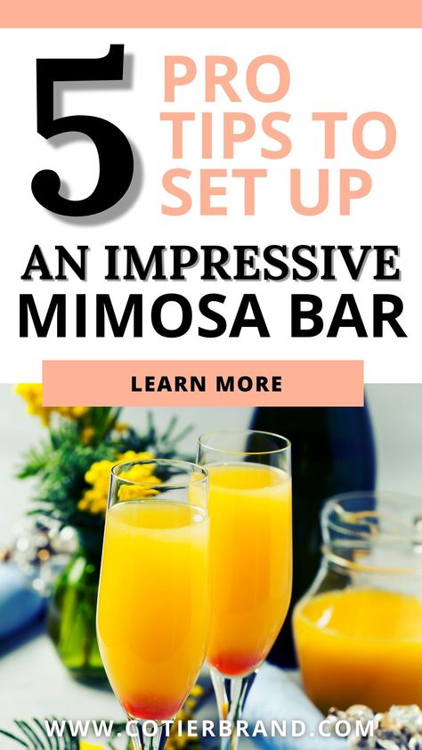 Wondering how to make a mimosa bar like a pro party stylist? Follow these four simple steps and you'll be well on your way to creating a beautiful set up. Mimosa Bar Ideas Birthday, Diy Mimosa, Mimosa Party, Fruit Garnish, Brunch Bar, Ladies Brunch, Mimosa Recipe, Stemless Champagne Flutes, Couple Wedding Shower