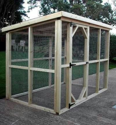 nice & basic Reban Ayam, Cat Enclosures, Chicken Pen, Outdoor Cat Enclosure, Simple Shed, Coop Design, Rabbit Run, Chicken Coop Designs, Chicken Coop Ideas