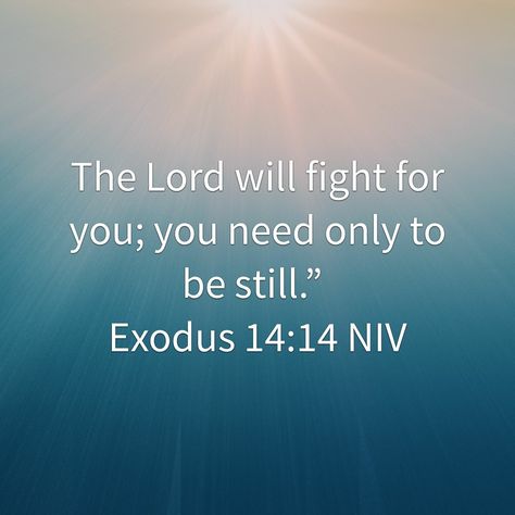 Let Your Will Be Done, God Gives His Toughest Battles Quotes Tattoo, The Lord Will Stand With You And Give You Strength, God Gives His Toughest Battles, For The Battle Is Not Yours But Gods, God Will Take Care Of Your Enemies, The Battle Belongs To The Lord, God Gave His Toughest Battles, Battle Quotes