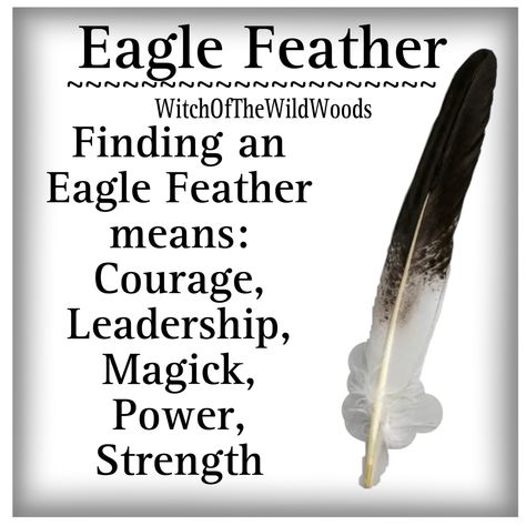 WitchOfTheWildWoods Eagle Feather Meaning, Feather Color Meaning, Beading Native, Sleeve Reference, Snake Symbolism, Anne Stokes Dragon, Feather Magic, Finding Feathers, Wiccan Candle