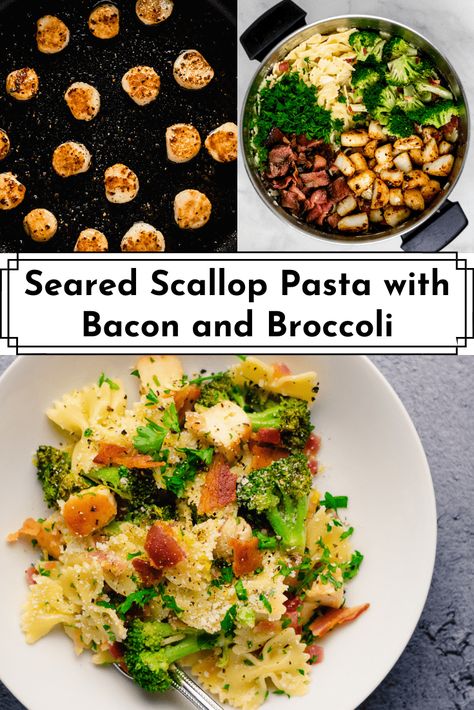 Succulent seared scallops and bacon pasta with tons of broccoli makes a delicious one pot dinner that has so much going on, it doesn’t even need a side. #scalloprecipes #scalloppasta #seafoodrecipes #pastarecipes #dinnerrecipes Scallops And Broccoli Recipe, Scallops And Bacon, Simple Healthy Dinners, Bacon And Broccoli, Bacon Pasta Recipes, Pasta With Bacon, Scallop Pasta, Healthy Comfort Food Recipes, Broccoli Dishes