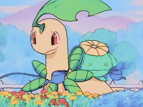 Female Pokemon, Pokemon Official, Pokemon Sketch, Pokémon Art, Pokémon Stuff, Out Of Context, Pokemon Stuff, All Pokemon, Catch Em All