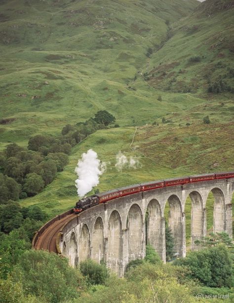 Road trip de 15 jours en Ecosse Blog voyage lovelivetravel Glenfinnan Viaduct, Harry Potter Travel, Scotland Road Trip, Road Trip Camping, Castles In Scotland, Scottish Castles, Hogwarts Express, Steam Train, Voyage Europe