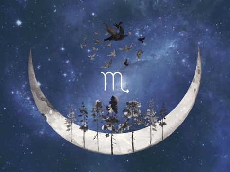 Intuitive Astrology: Scorpio Super New Moon November 2020 - Forever Conscious New Moon Scorpio, Scorpio New Moon, Super New Moon, New Moon In Scorpio, Moon In Scorpio, Astrology Scorpio, Hindu Rituals, Two Way Street, New Moon Rituals