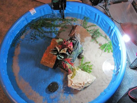 Creating an indoor pool for your turtle can be justified for several reasons, whether it is winter and you want your turtle to escape its aquarium from time to time, or you need a cheap alternative to an aquarium. Although I think the turtle should... Turtle Setup, Aquatic Turtle Habitat, Turtle Pool, Turtle Tank Setup, Turtle Enclosure, Turtle Terrarium, Red Eared Slider Turtle, Turtle Aquarium, Turtle Care