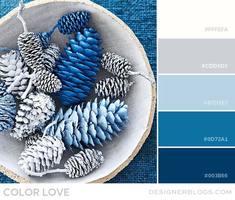 blue & gray color palette, color scheme, blog colors Blue Grey White Color Scheme, Blue Gray Color Palette Colour Schemes, Achromatic Color Scheme Interior, Blue White Gray Color Palette, Grey Blue White Color Palette, Blue Silver White Color Palettes, Winter Color Palette For Home, Blue And Gray Color Scheme, Blue And Silver Palette