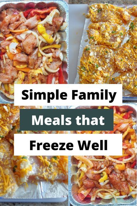 Eat One Freeze One Meals, Yummy Freezer Meals, Family Freezer Meal Prep, Freezer Meals Budget Friendly, Freezer Friendly Dinner Recipes, Dinners To Freeze For Later, Easy Frozen Meal Prep Ideas, Chicken Recipes To Freeze Meal Ideas, Foods To Make In Bulk And Freeze