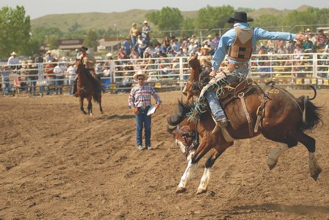 Bucking Horse, Western Town, Virginia City, Interactive Media, Home On The Range, Horses For Sale, Ghost Towns, Old West, Historic Buildings