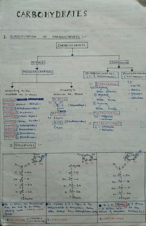 Classification Of Carbohydrates, Biochemistry Notes Carbohydrates, Carbohydrates Classification, Biomolecules Notes Chemistry, Carbohydrates Notes, Biomolecules Notes Biology, Carbohydrates Biology, Cell Biology Notes, Biochemistry Notes