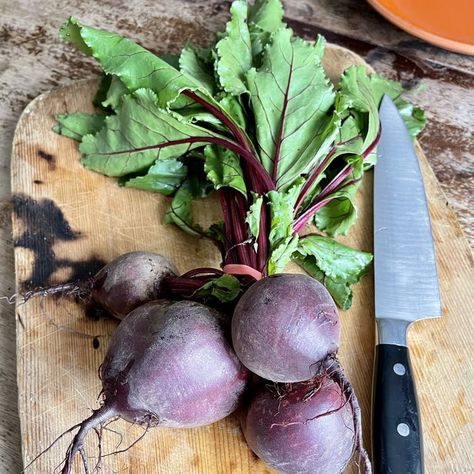 How To Cook Beetroot Recipe, What To Do With Beet Stems, Cooking Beetroot How To, Roast Beetroot Recipe, Beetroot Leaves Recipe, How To Cook Beetroot, Green Moong Dal Recipe, Scrappy Cooking, Purple Roots