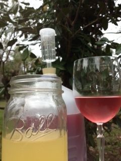 Homemade Hooch - several simple wine recipes, plus great tips; make these first Hooch Recipe Alcohol, Hooch Recipe, Easy Wine Recipes, Making Wine At Home, Wine Making Recipes, Homemade Alcohol, Hard Lemonade, Homemade Liquor, Brewing Recipes