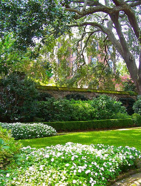 Charleston Gardens, Southern Garden, Small Backyard Gardens, The Secret Garden, Formal Gardens, Backyard Garden Design, Garden Gate, White Gardens, Gorgeous Gardens