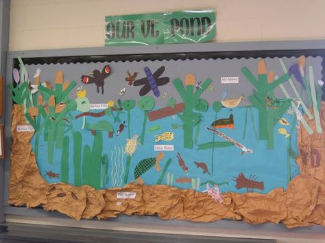 Bulletin Ecosystem-- add in a research project and publish paragraphs about each abiotic or biotic feature. Ecosystem Bulletin Board, Pond Bulletin Board Preschool, Pond Bulletin Board, Pond Mural, Pond Habitat, Ecosystems Projects, Pond Animals, Summer Bulletin Boards, Animals Food