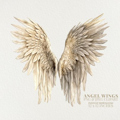 Watercolor Angels Watercolour, Angel Wing Drawing, Angel Drawing Sketches, Painted Angel Wings, Angel Wing Art, Screenprinting Ideas, Angel Wing Artwork, Wings Watercolor, Emily Dickson