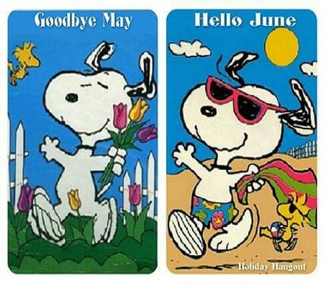 Goodbye May   Hello June Hello Mai, Hello May Quotes, Happy Summer Quotes, Welcome June, Welcome May, Peanuts Party, Hello June, Hello April, Hello March