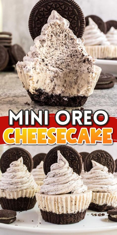 Creamy Cookies, Oreo Crust Recipe, Oreo Cheesecake Bites, Mini Oreo Cheesecake, Oreo Cheesecake Recipes, Cheesecake Bites Recipe, No Bake Oreo Cheesecake, Whipped Frosting, Dessert Recipies